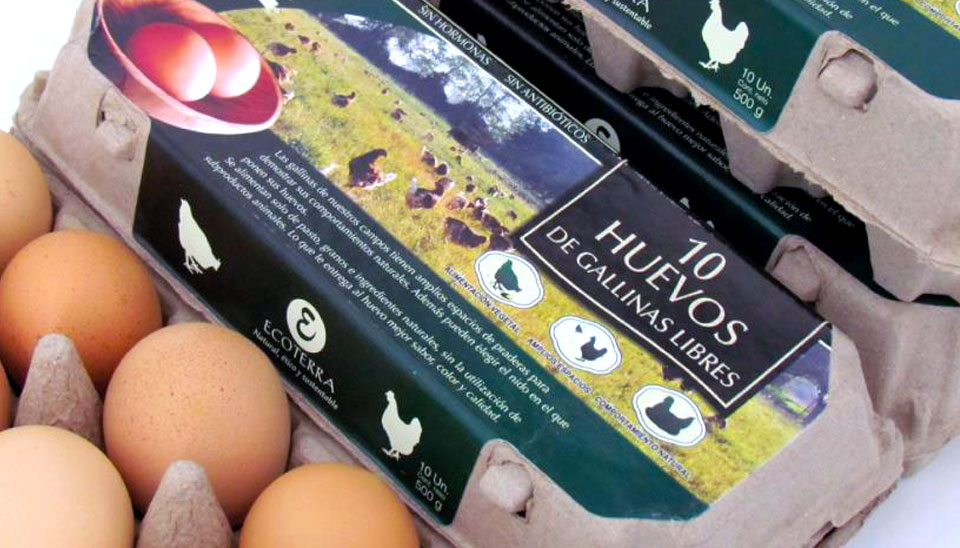 Ecoterra